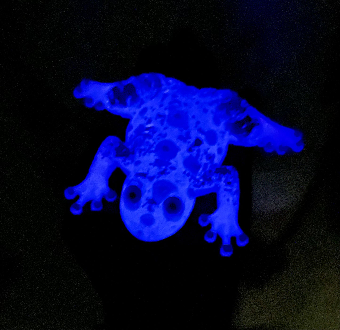 Resin FROG